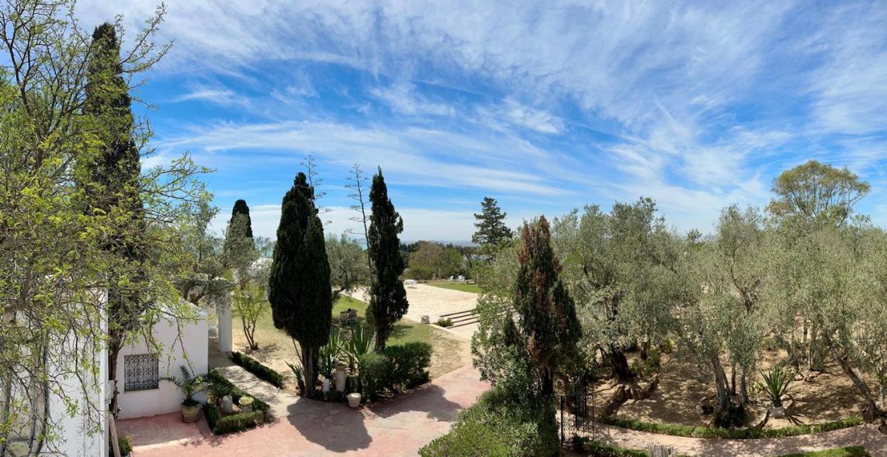 Si Brahim Studio Piscine, Sidi Bou Ali Exterior foto